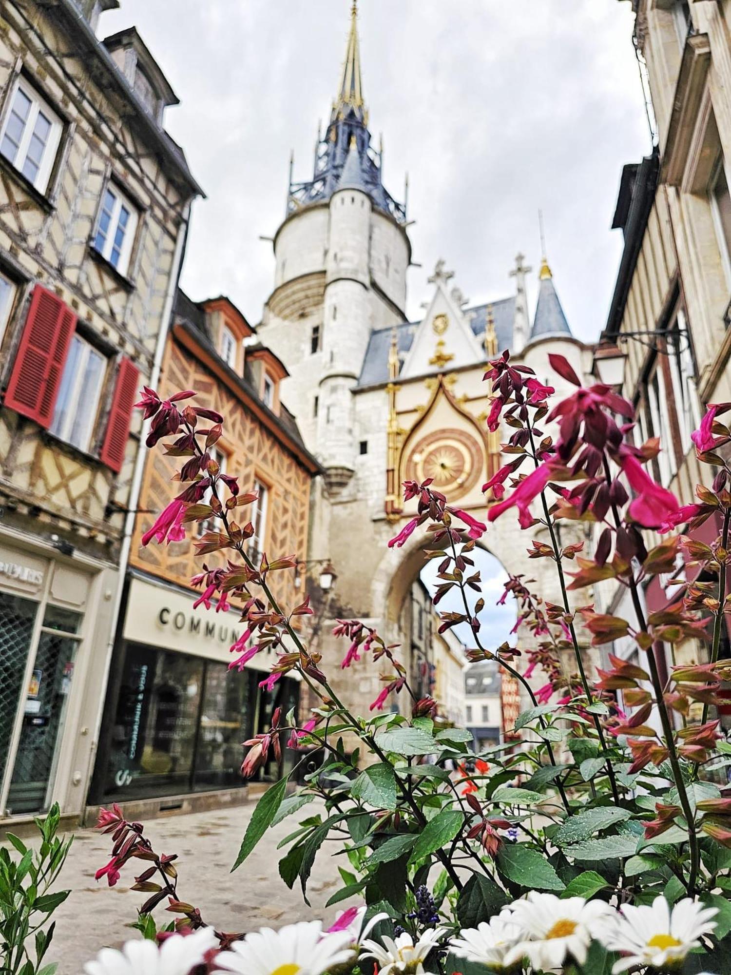 Aux'Cerfs - A Deux Pas De L'Abbaye Apartamento Auxerre Exterior foto